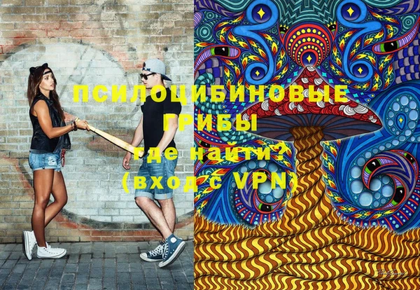 дживик Баксан