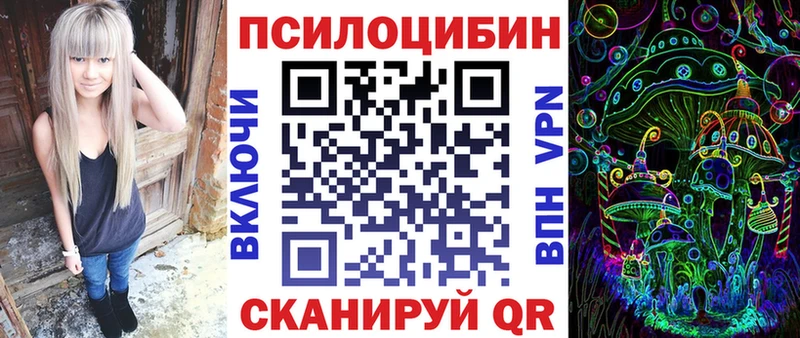 купить Козельск Псилоцибиновые грибы Psilocybine cubensis